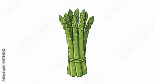 A vibrant green bundle of fresh asparagus spears, tied together, presented with a clean white background
