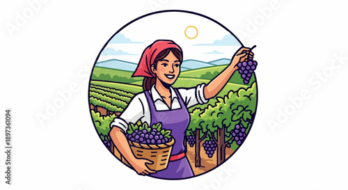 A smiling woman harvests ripe purple grapes from a vineyard on a sunny day, holding a basket full