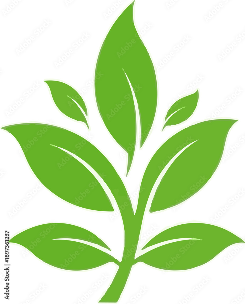 Fototapeta premium A vibrant green plant graphic with multiple leaves sprouting from a central stem, against a white background