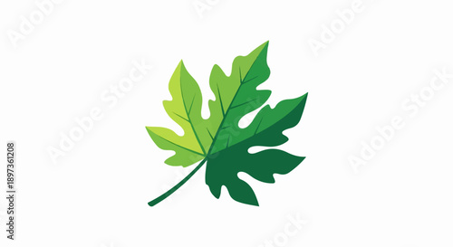 A vibrant green, lobed leaf illustration with color gradient on a clean white background