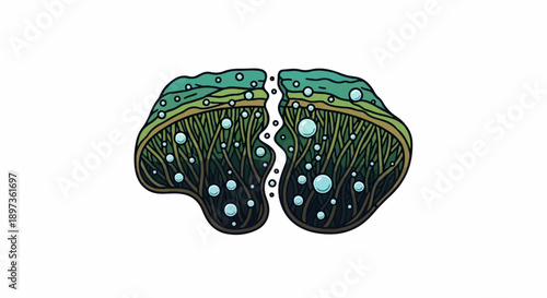 Abstract organic shape split in two, filled with green plant-like textures and various sized bubbles