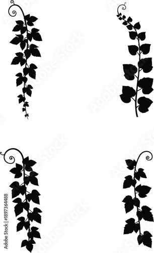 Black silhouette vector set of hanging creeper vines with curly tendrils for floral frame and nature wall decor.