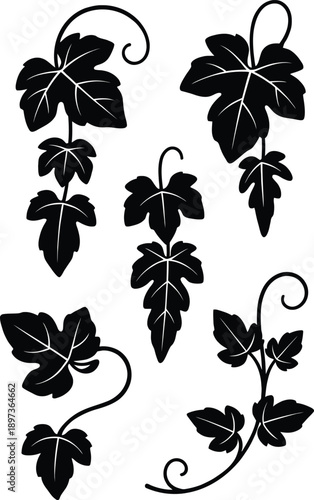 Decorative black silhouette vector illustration of creeping vine leaves with swirls for botanical corner ornament design.