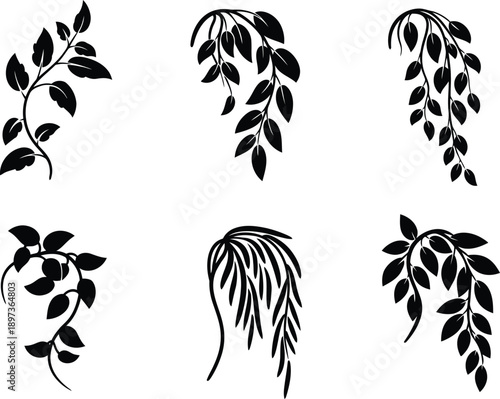 Weeping willow tree branches and hanging vine foliage silhouettes isolated for botanical garden logo design.