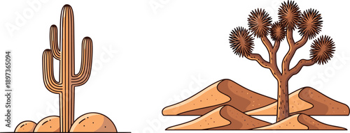 Desert,cactus,joshua,tree,arid,landscape,nature,vector,illustration,isolated,on,white,background,hot,dry,wild,western,scenery,design,art