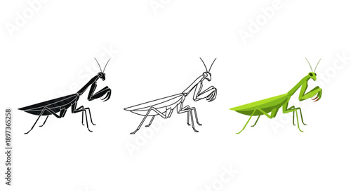 Praying Mantis Insect Icon Set featuring Detailed Silhouette, Outline, and Vibrant Green Natural Graphic Styles
