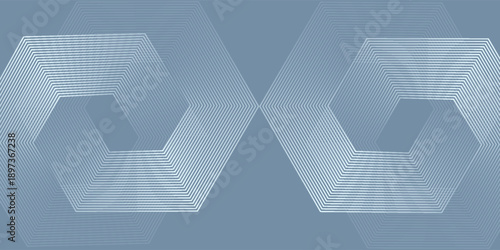 Digital abstract background hexagon lines on gray background. Futuristic digital network stripe line art design for poster, brochure, cover, website, banner. modern vector eps10
