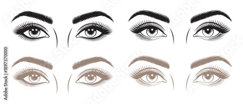 Close-up of Pairs of Female Eyes Showing Different Eyebrow Shapes and Makeup Styles, Black and White and Sepia Tones.
