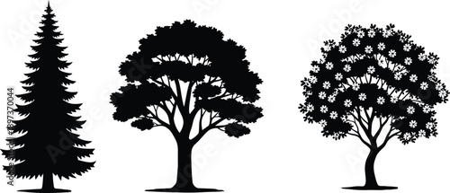 Tree silhouette vector set, black white botanical clipart, conifer deciduous flowering tree illustration, landscape design artwork bundle