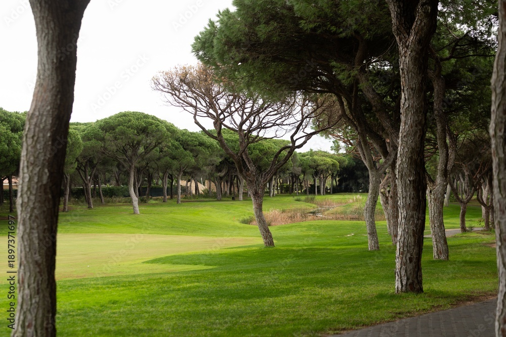 Fototapeta premium Beautiful View of Green Golf Field with Blue Sky.
