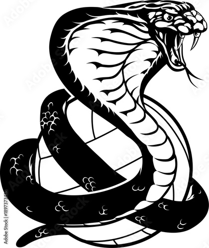 A cobra snake volleyball mascot wrapped around a volleyball ball