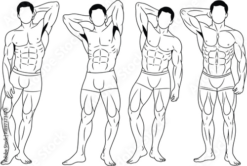 Male anatomy bodybuilding illustration, fitness muscle diagram, workout training pose, pectoral abdominal biceps triceps quadriceps calves, health anatomy art reference