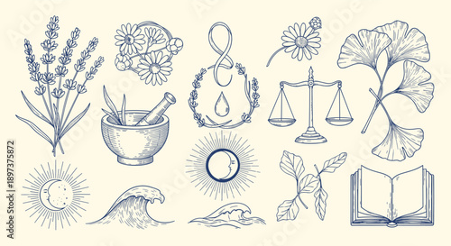 Vintage hand-drawn botanical, celestial, and mystical symbols collection for natural wellness, spirituality, and ancient wisdom