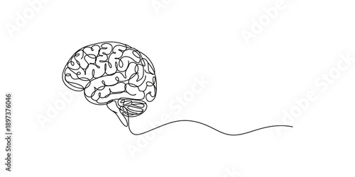 Minimalist one-line art illustration representing the complex structure of the human brain Vector, illustration