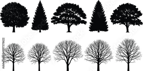 Set of tree silhouettes with leaves and bare winter branches, deciduous and coniferous forest plants, oak maple fir pine icons, vector illustration collection