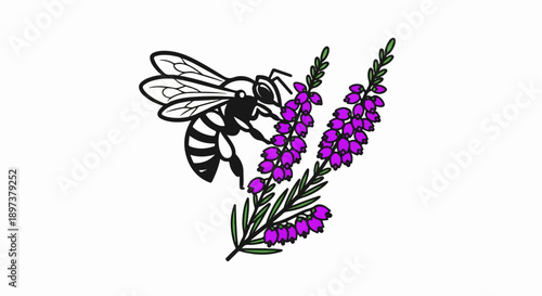 Stylized illustration of a bee with black and white stripes pollinating vibrant purple flowers on green stems