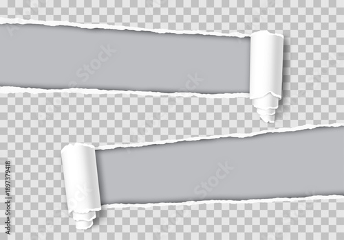 Horizontal torn paper strips with rolled edges revealing transparent background, realistic ripped paper banner set.