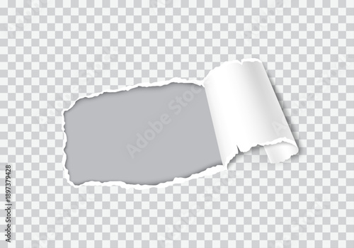 Horizontal torn paper hole with rolled right edge, realistic ripped white paper revealing transparent background.