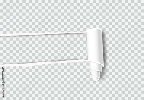 Horizontal torn paper strip with rolled edges revealing transparent background, realistic ripped paper banner set.