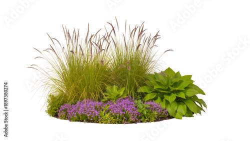 Ornamental Garden Bed with Mixed Perennial Landscape Plants