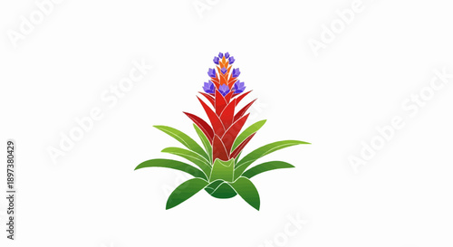 Stylized illustration of a vibrant tropical plant with red bracts and small purple-blue flowers