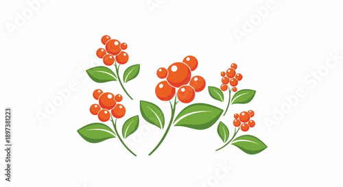 Five stylized clusters of vibrant red berries with green leaves on a clean white background