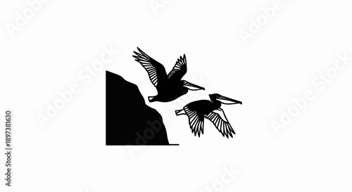 Two large-beaked birds fly in silhouette beside a dark cliff, against a stark white background