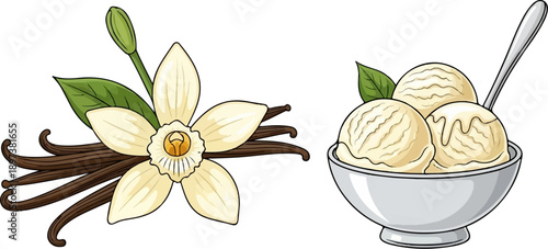 Illustration of vanilla flower, pods, and a bowl with three scoops of vanilla ice cream, spoon, and mint leaf