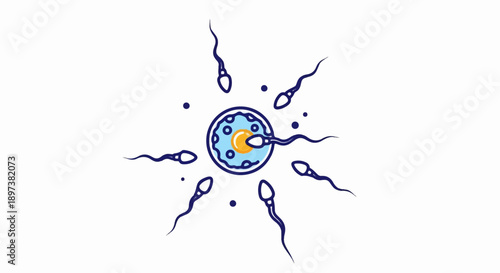 Illustration of fertilization process with an egg cell being approached by numerous sperm cells, one penetrating