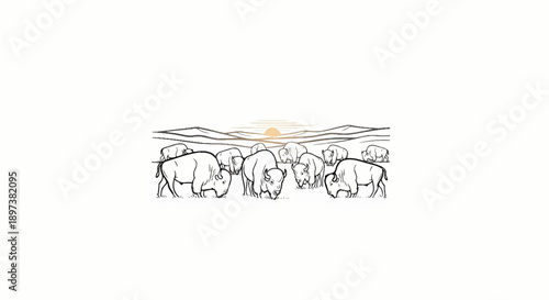 Line art illustration of a herd of bison grazing on a prairie landscape under a setting sun