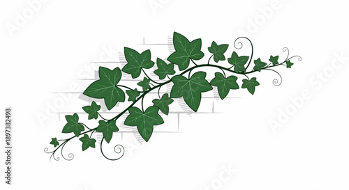 Illustration of a winding vine with dark green leaves and tendrils against a subtle light grey brick wall