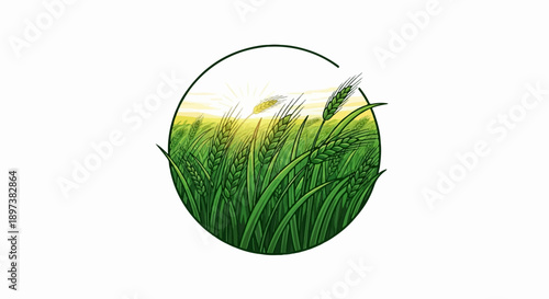 Illustration of a vibrant green wheat field under a radiant sun, enclosed within a circular frame