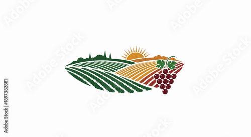 Stylized vineyard landscape illustration with rows of grapevines, hills, sun, and a bunch of red grapes