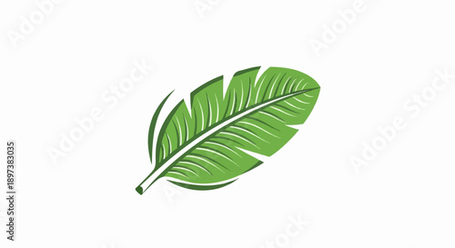 Stylized illustration of a vibrant green banana leaf with white vein details on a clean white background