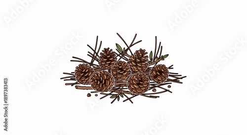 An illustration of multiple brown pine cones and twigs forming a rustic pile on a white background