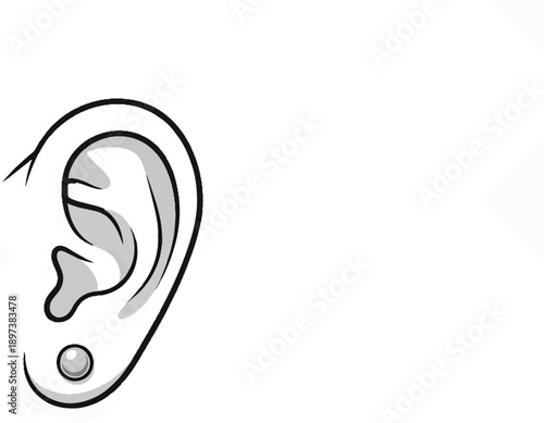 An illustrative drawing of a human ear, detailed with contours and a simple round stud piercing