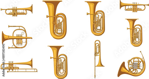 Collection of golden brass musical instruments displayed against a clean white background from a straightforward viewpoint