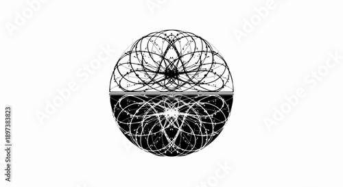 Symmetrical black and white abstract circle with intricate lines and dots, split into inverse halves