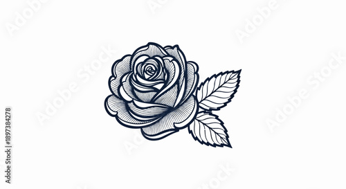 Hand-drawn illustration of a fully bloomed rose with two leaves, rendered in a detailed sketch style