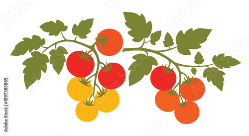 Stylized illustration of a tomato plant branch with ripe tomatoes