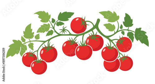 A vibrant branch displaying several ripe red tomatoes with green leaves