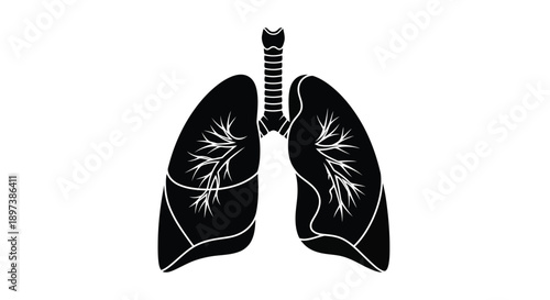 Anatomical illustration of human lungs showcasing bronchial tree structure