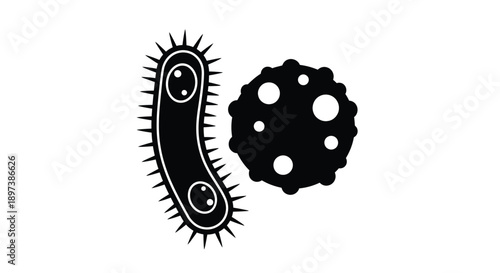 Black and white illustration of two different types of bacteria cells