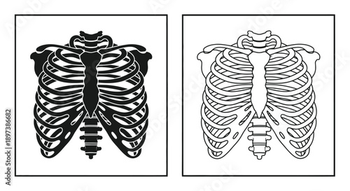 Anatomical illustration of human rib cages in contrasting color schemes