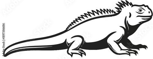 Black and white outline illustration of an iguana-like reptile with a spiked back, standing in profile
