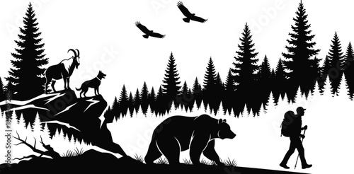 forest, wildlife, hiker, silhouette, nature, bear, goat, dog, bird, tree, mountain, trail, outdoor, black, white, adventure, trekking, peaceful, scenic, environment