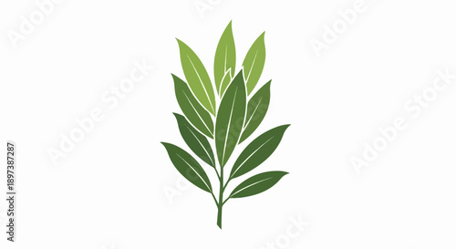 Stylized illustration of a plant branch with multiple green leaves in various shades on a white background
