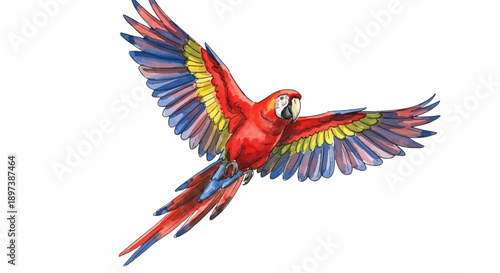 Vibrant watercolor illustration of a colorful macaw parrot in flight with outstretched wings on a white background
