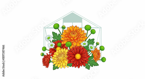 Colorful autumn chrysanthemums and daisies bouquet illustration within a minimalist greenhouse outline