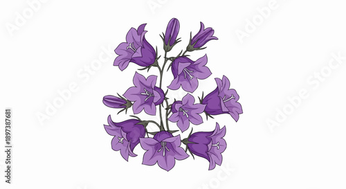 Vibrant cluster of purple bell flowers with delicate white pistils and green stems, set against a pristine white background